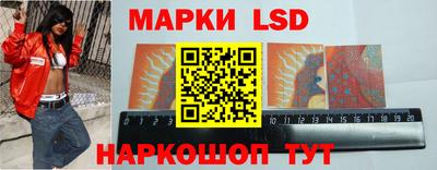 твердый Новодвинск